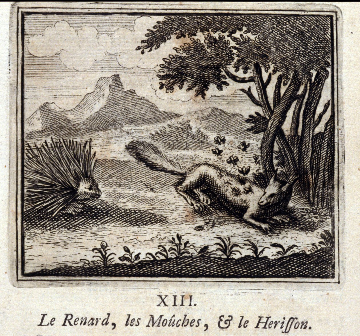Der Fuchs, die Fliegen und der Igel. Fabeln von Jean de La Fontaine. Illustration von François Chauveau. Ausgabe von 1728. von Francois Chauveau