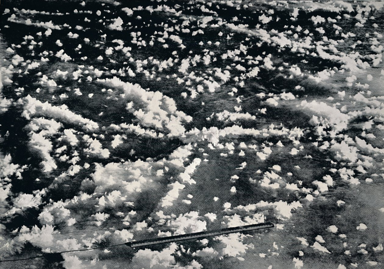 Eisblumen auf neu gebildetem Meereis, 1912, 1913 von Frank Debenham