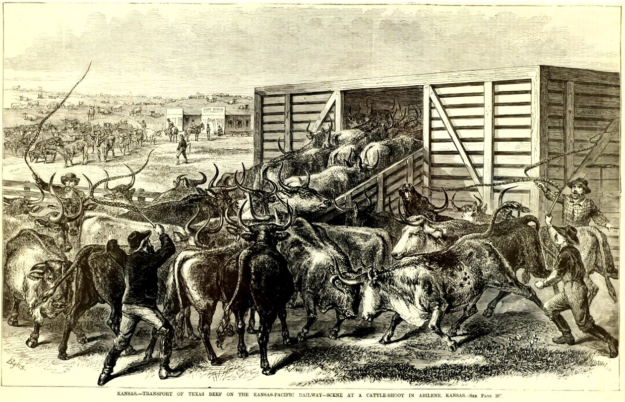 Viehtrichter in Abilene, Kansas von Frank Leslie