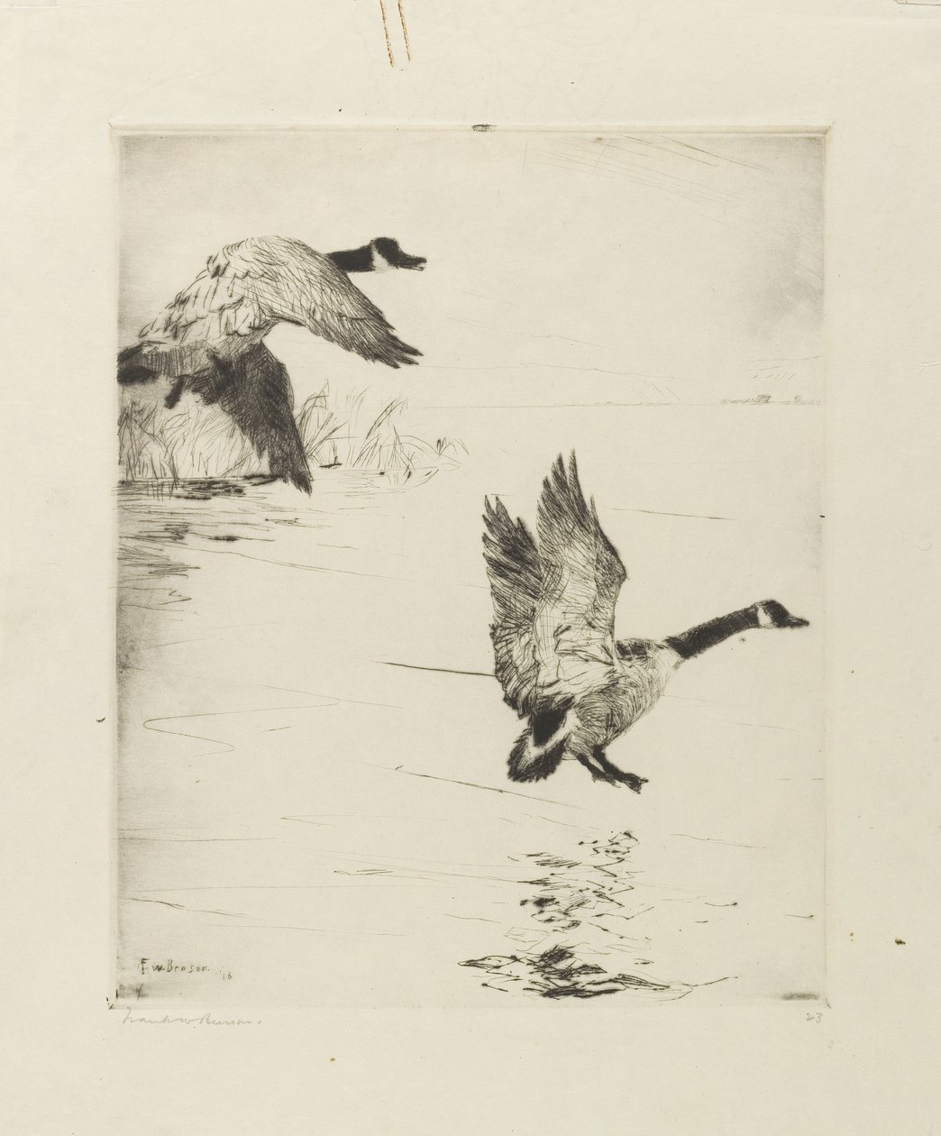 Gänse landen von Frank Weston Benson