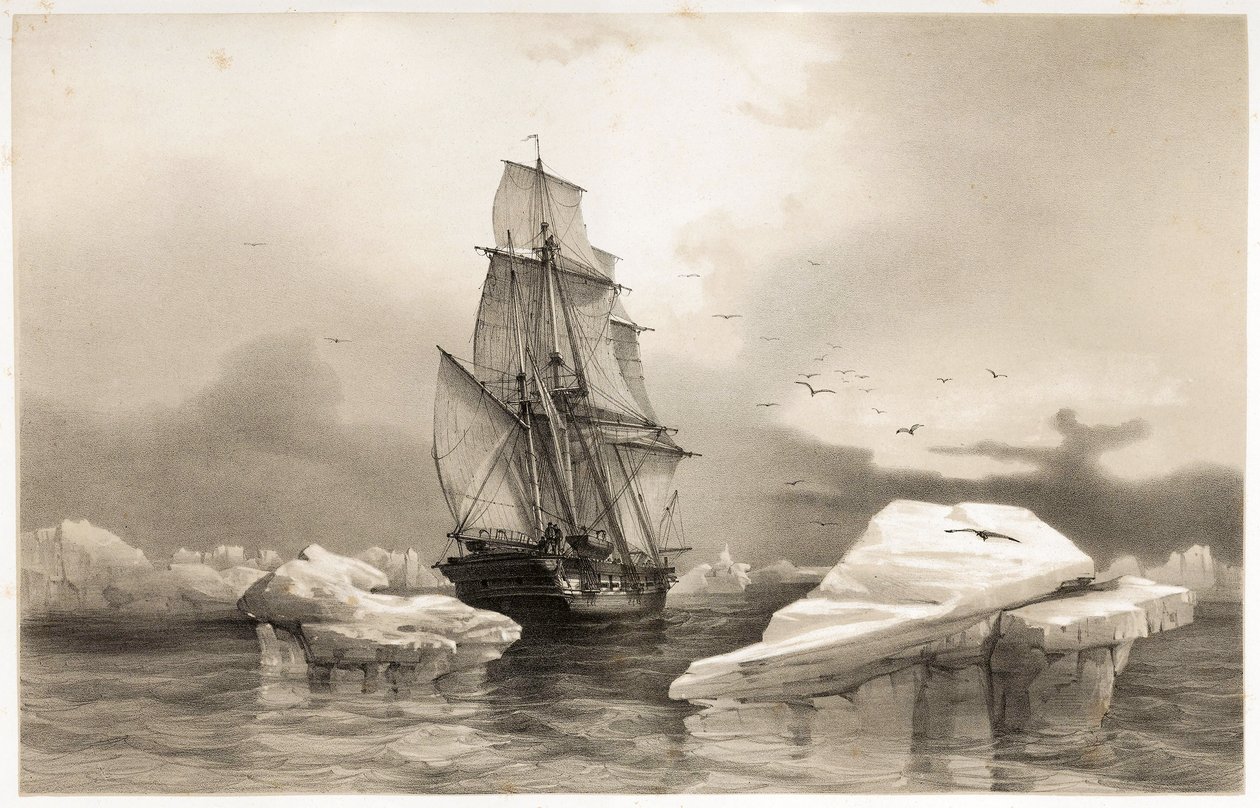 Korvette "La Recherche" in der Nähe von Bäreninsel am 7. August von François Auguste Biard