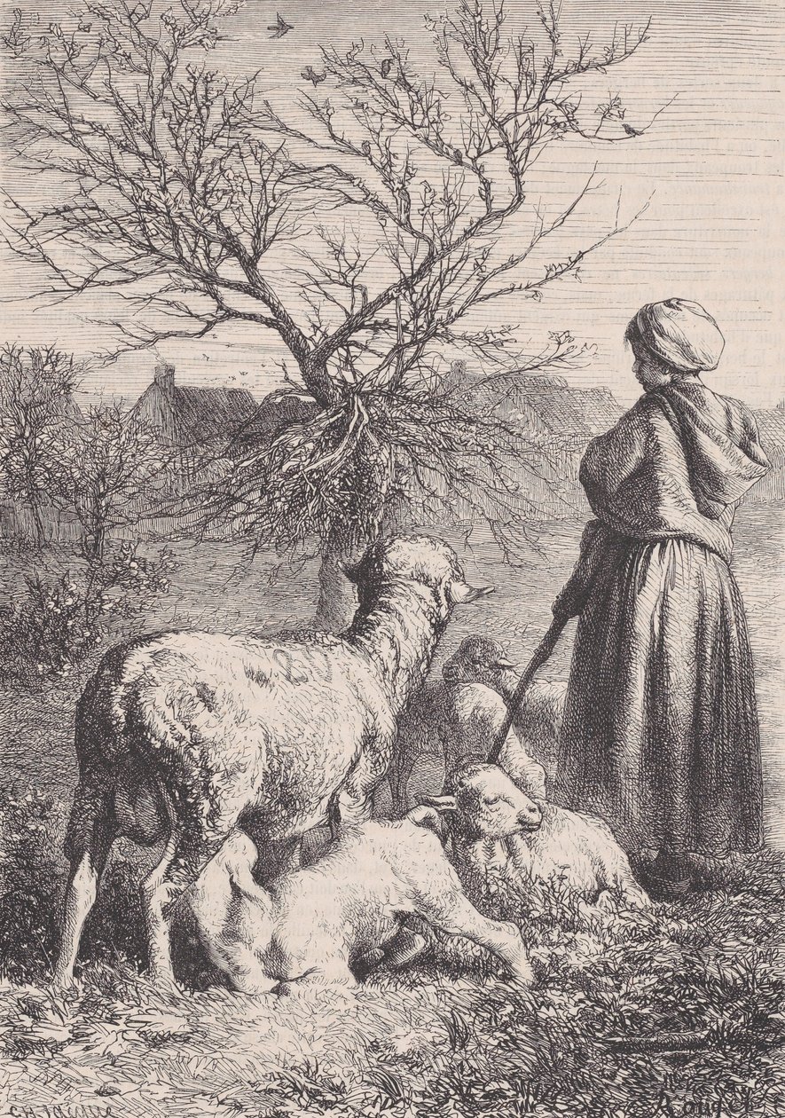 Eine Schäferin, ca. 1852 von François Rouget