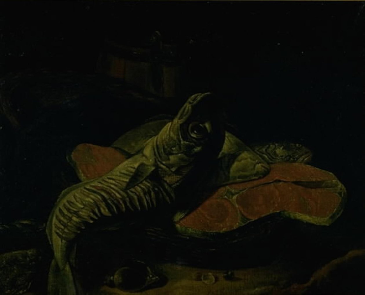 Fisch von Frans van