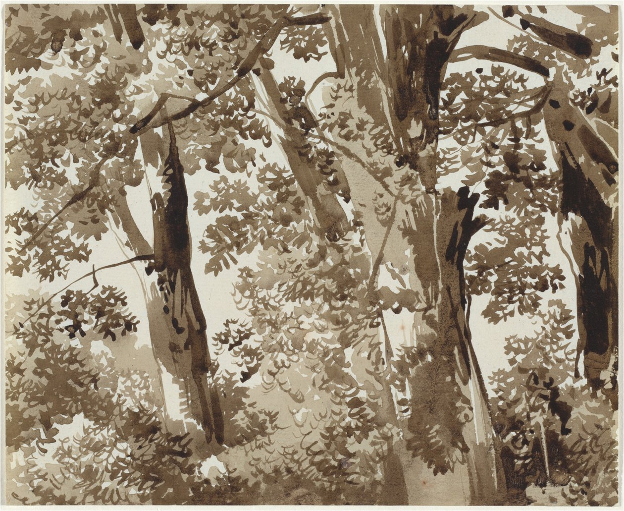 Bäume mit dichtem Unterholz von Franz Innocenz Josef Kobell