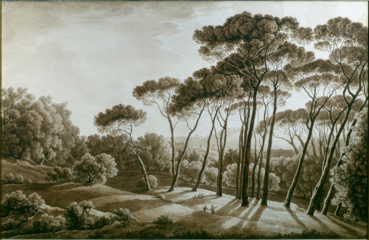 Die Pinien der Villa Doria Pamphili von Franz Kaisermann