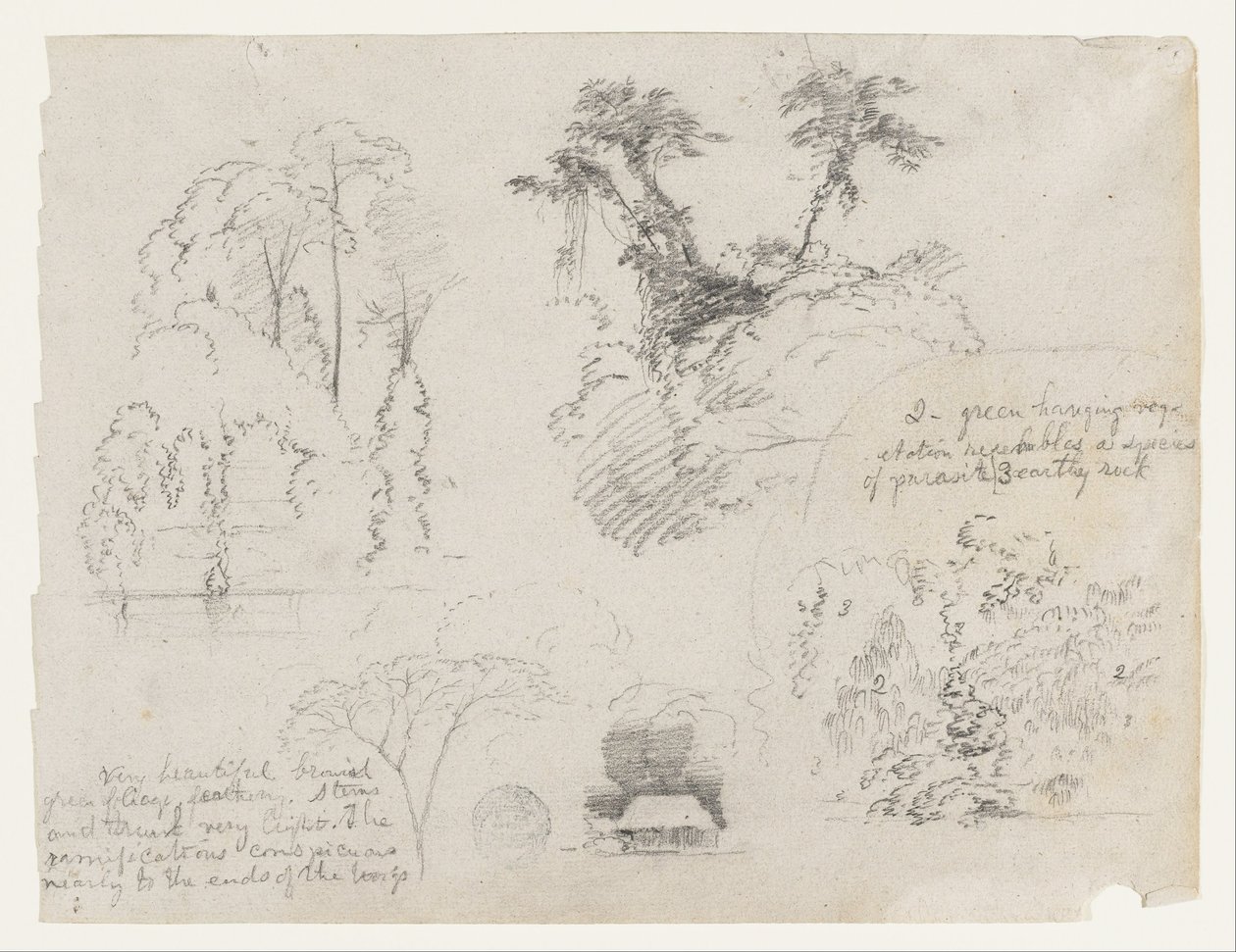 Skizzen aus Südamerika, wahrscheinlich aus Kolumbien. Botanische Skizzen. Ein Haus. von Frederic Edwin Church