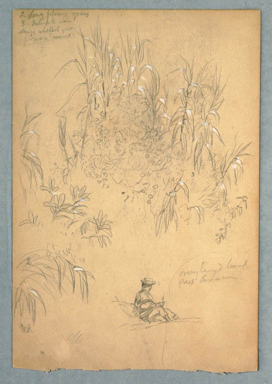 Zeichnung, Eine detaillierte Studie eines sitzenden Mannes und einer Pflanzengruppe, Ecuador, 1857, wahrscheinlich Mai von Frederic Edwin Church