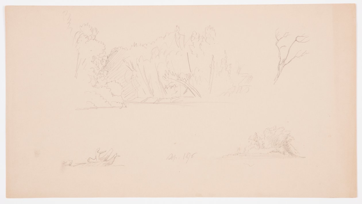 Zeichnung, Botanische Skizzen: Baum, Bäume am Ufer, September 1876 von Frederic Edwin Church