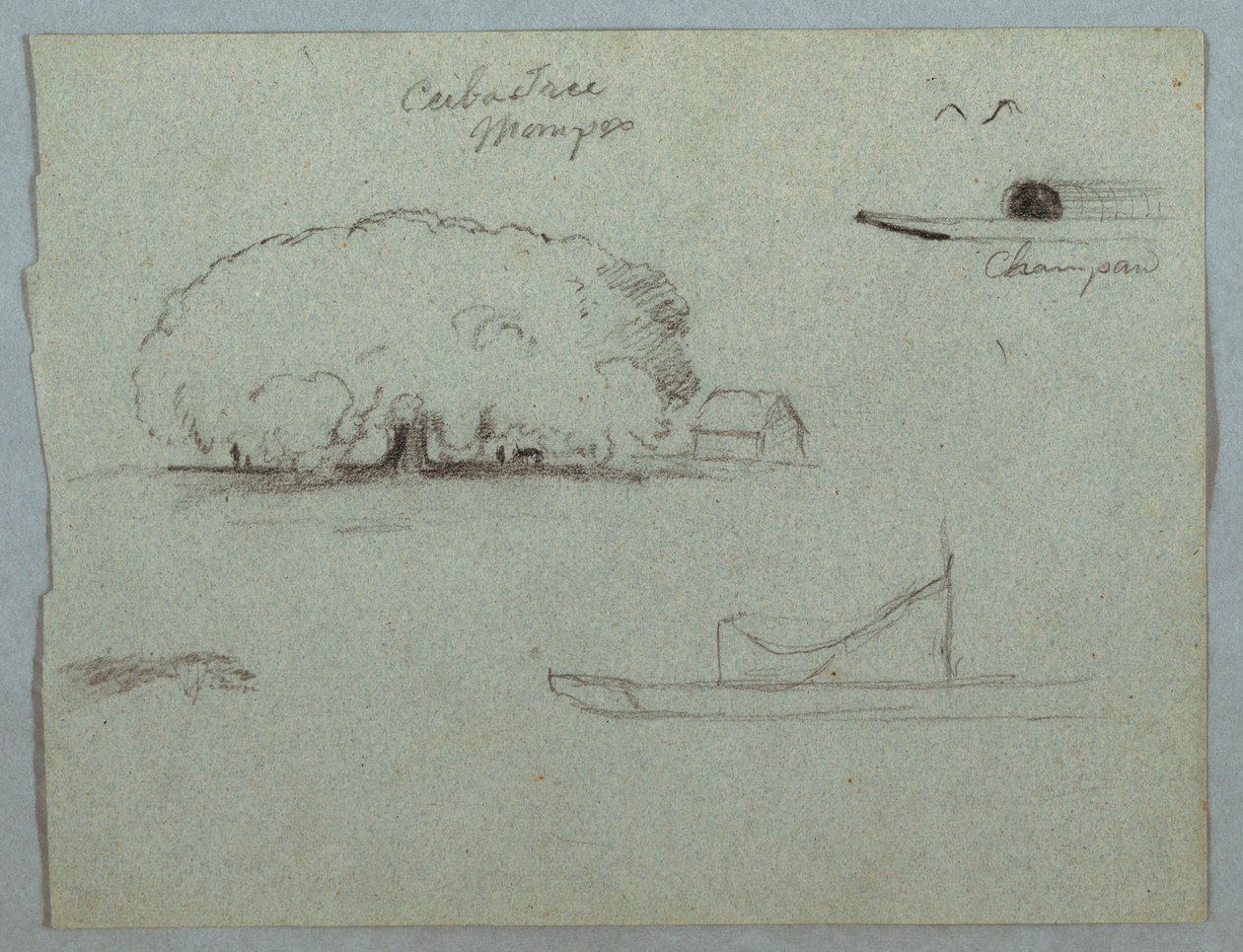 Zeichnung, Ceiba-Baum in Mompos, Champan-Kanu, Bäume und ein Teil eines Bootes, Rio Magdalena, Kolumbien, 1853, wahrscheinlich Mai von Frederic Edwin Church