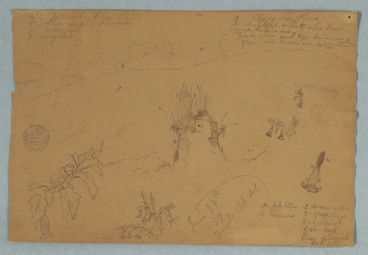 Zeichnung. Botanische und Wolkenskizzen in der Nähe von Quito, Ecuador, 24. Juni 1857 von Frederic Edwin Church