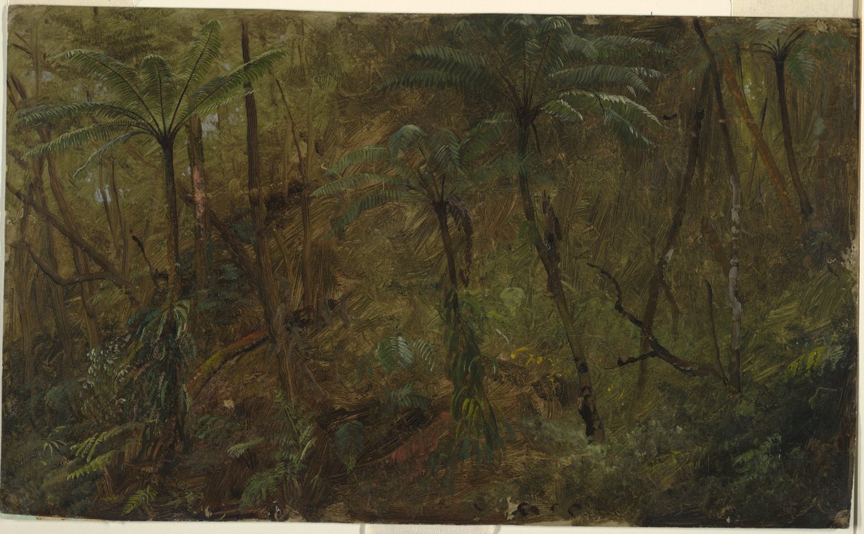 Zeichnung, In den Wäldern von Jamaika, Westindische Inseln, 1865 von Frederic Edwin Church