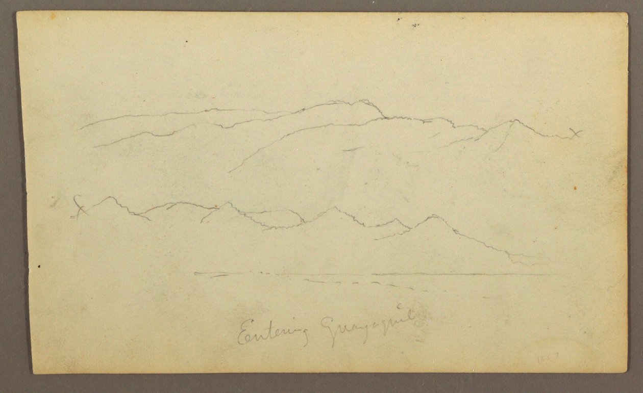 Zeichnung, Gebirgsketten "Einfahrt nach Guayaquil"; Rückseite: Flussufer, Botanische Skizzen, möglicherweise 1857 von Frederic Edwin Church