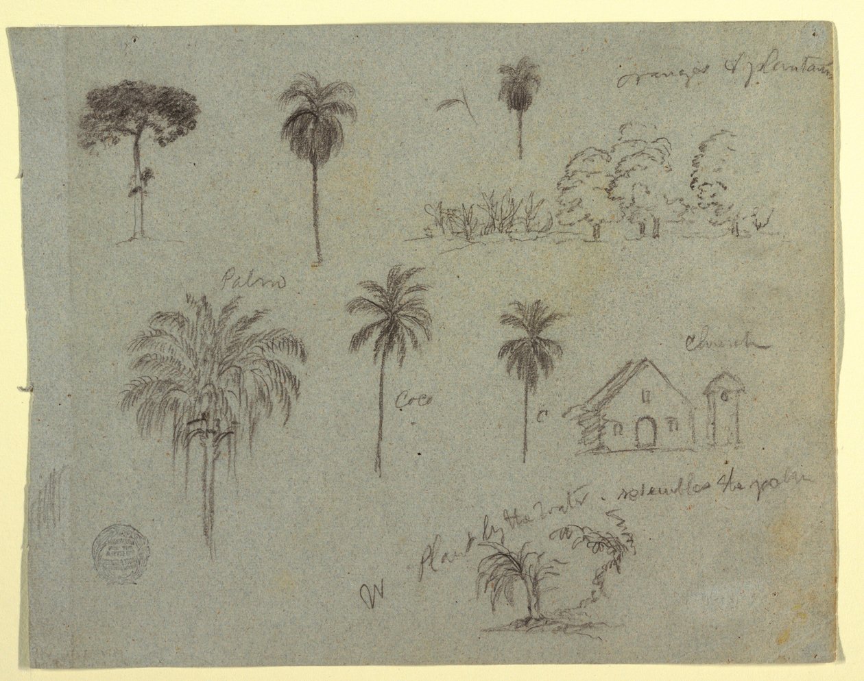 Skizzen vom Rio Magdalena, Kolumbien: Botanische Studien und eine Kirche, Mai 1853 von Frederic Edwin Church