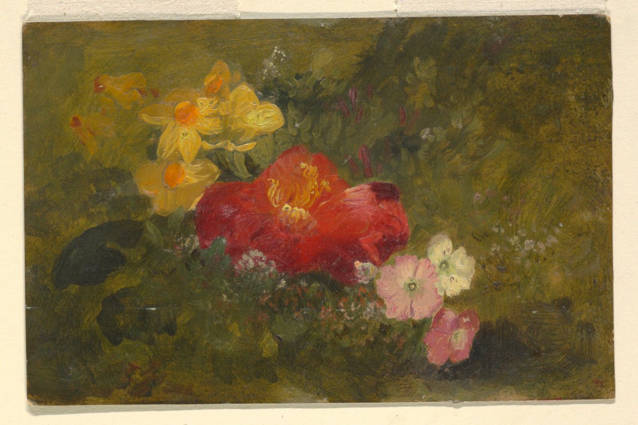 Wildblumen, Jamaika von Frederic Edwin Church