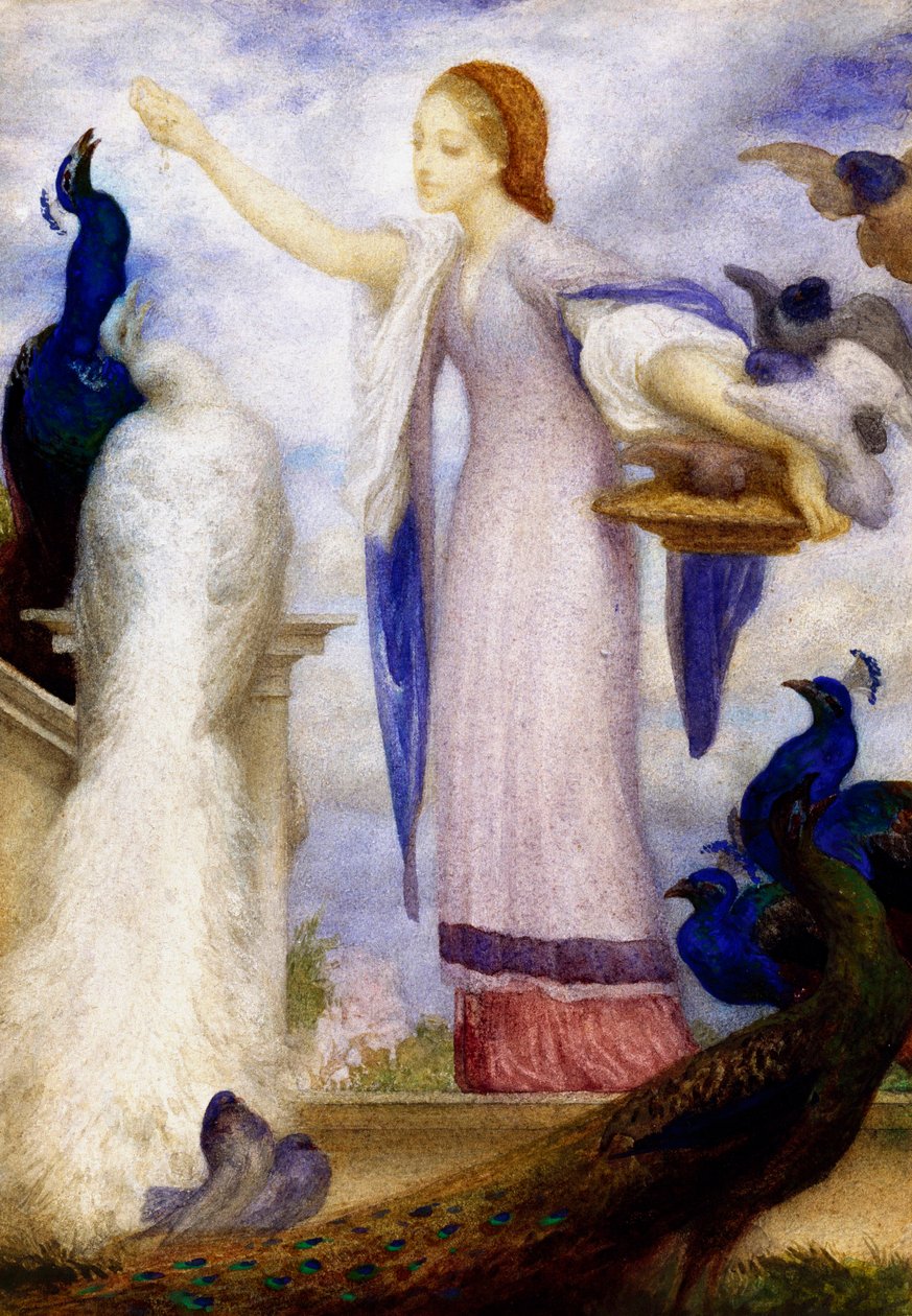 "Jene fille nourrissant les paons" Sie ist antik gekleidet. Gemälde von Lord Frederic Leighton (1830-1896) von Frederic Leighton