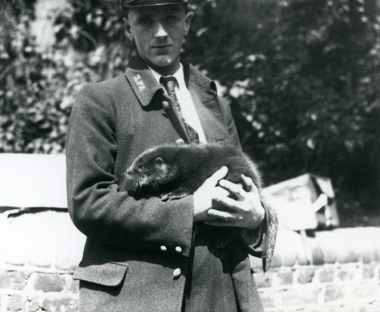 Wärter Leslie Martin Flewin wiegt ein Otterjunges in seinen Armen im Londoner Zoo, Juni 1922 von Frederick William Bond