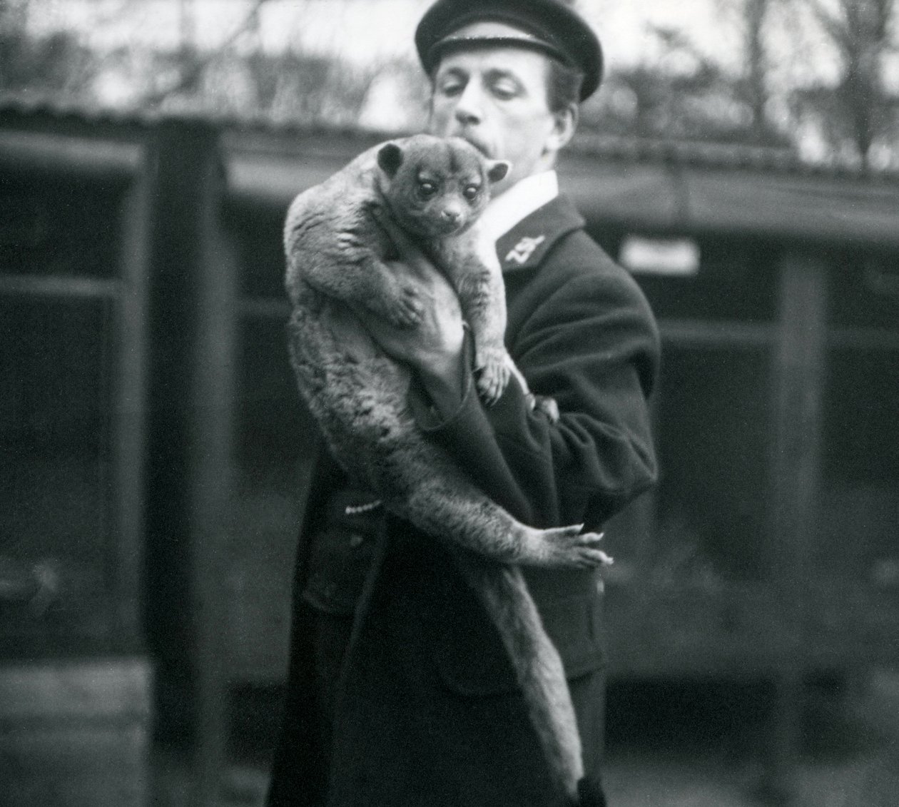 Wärter Leslie Martin Flewin hält ein Kinkajou im Londoner Zoo, Februar 1913 von Frederick William Bond