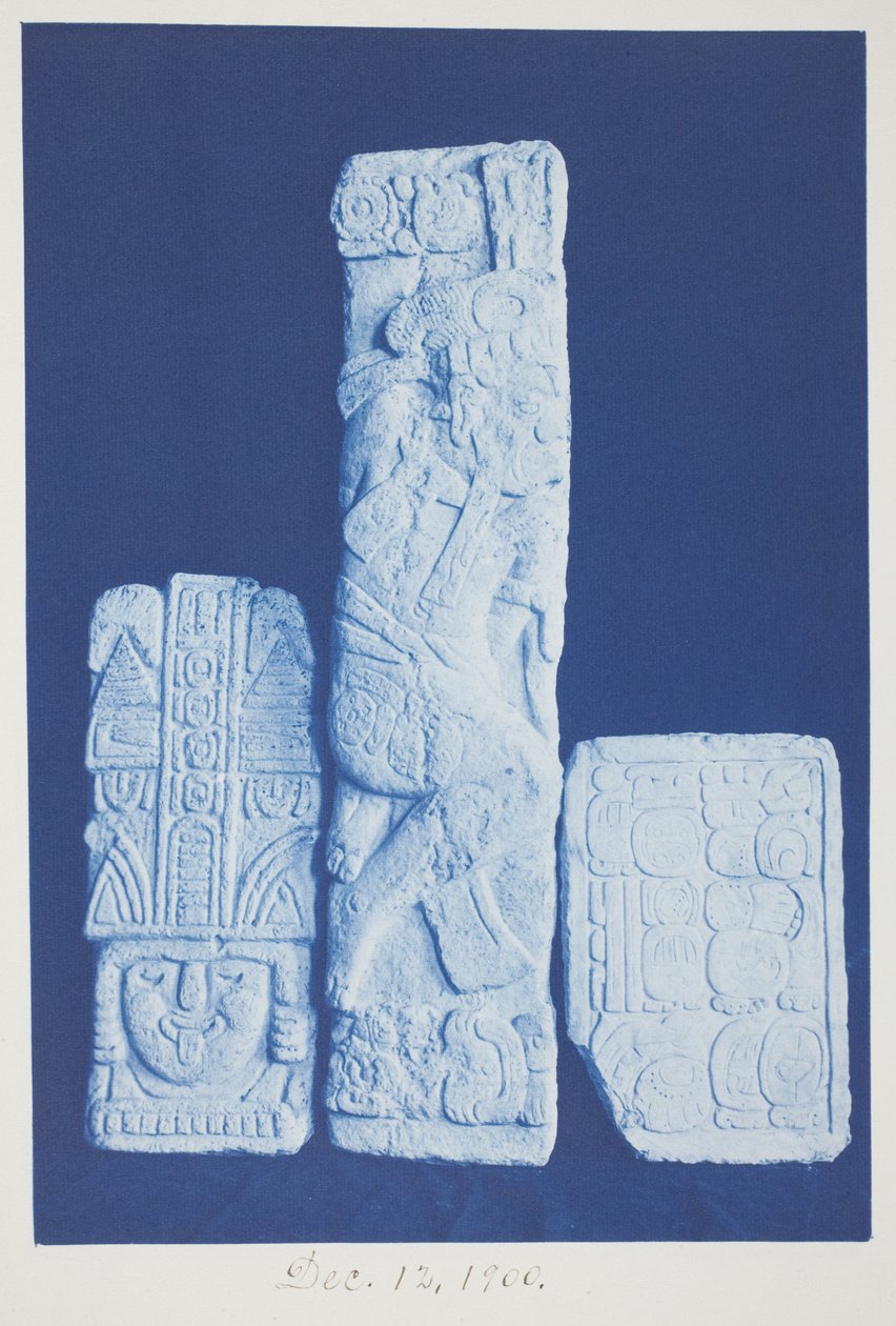 Ohne Titel, 12. Dezember von Frederick K. Coulson