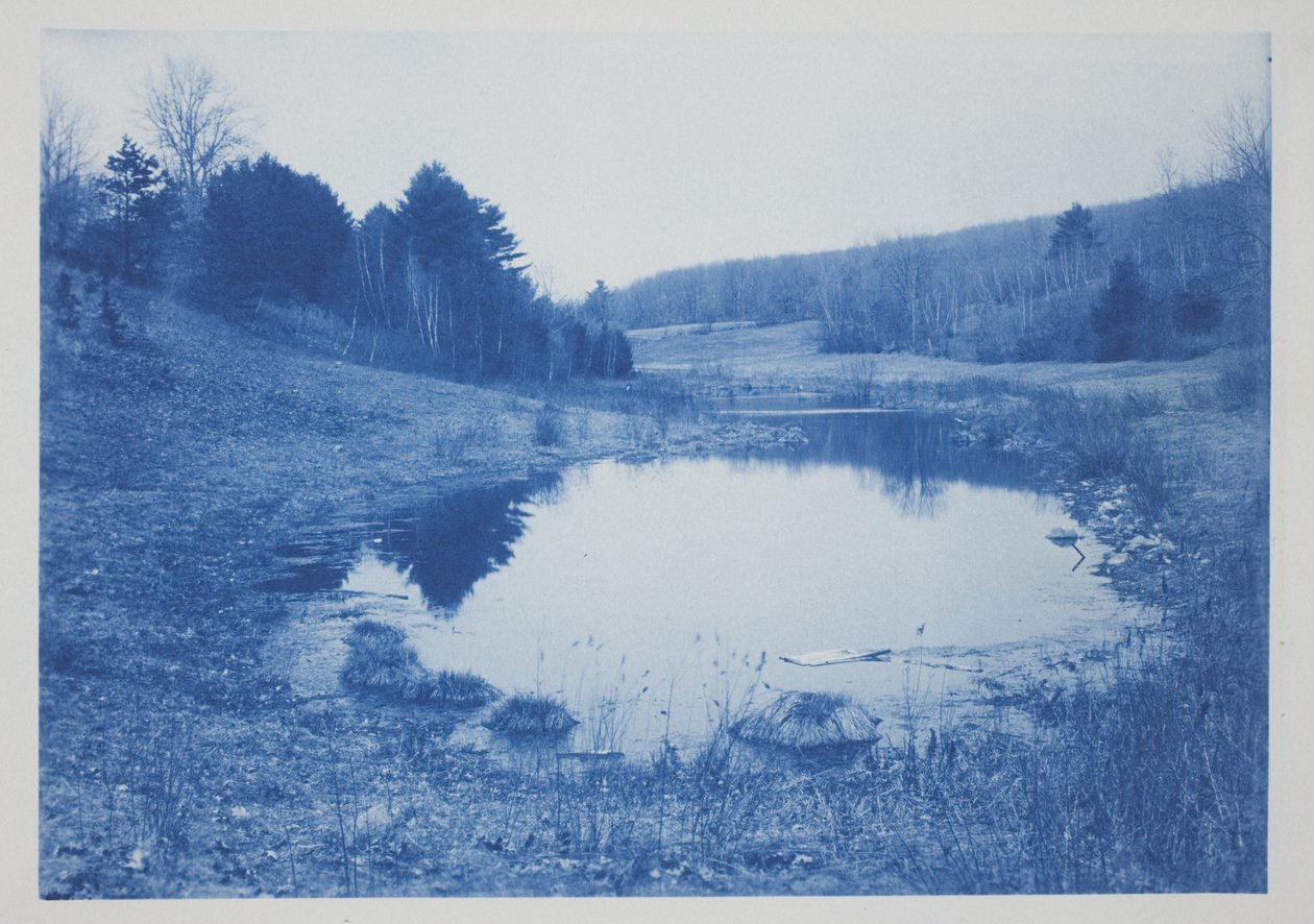 Ohne Titel, spätes 19. bis frühes 20. Jahrhundert von Frederick K. Coulson