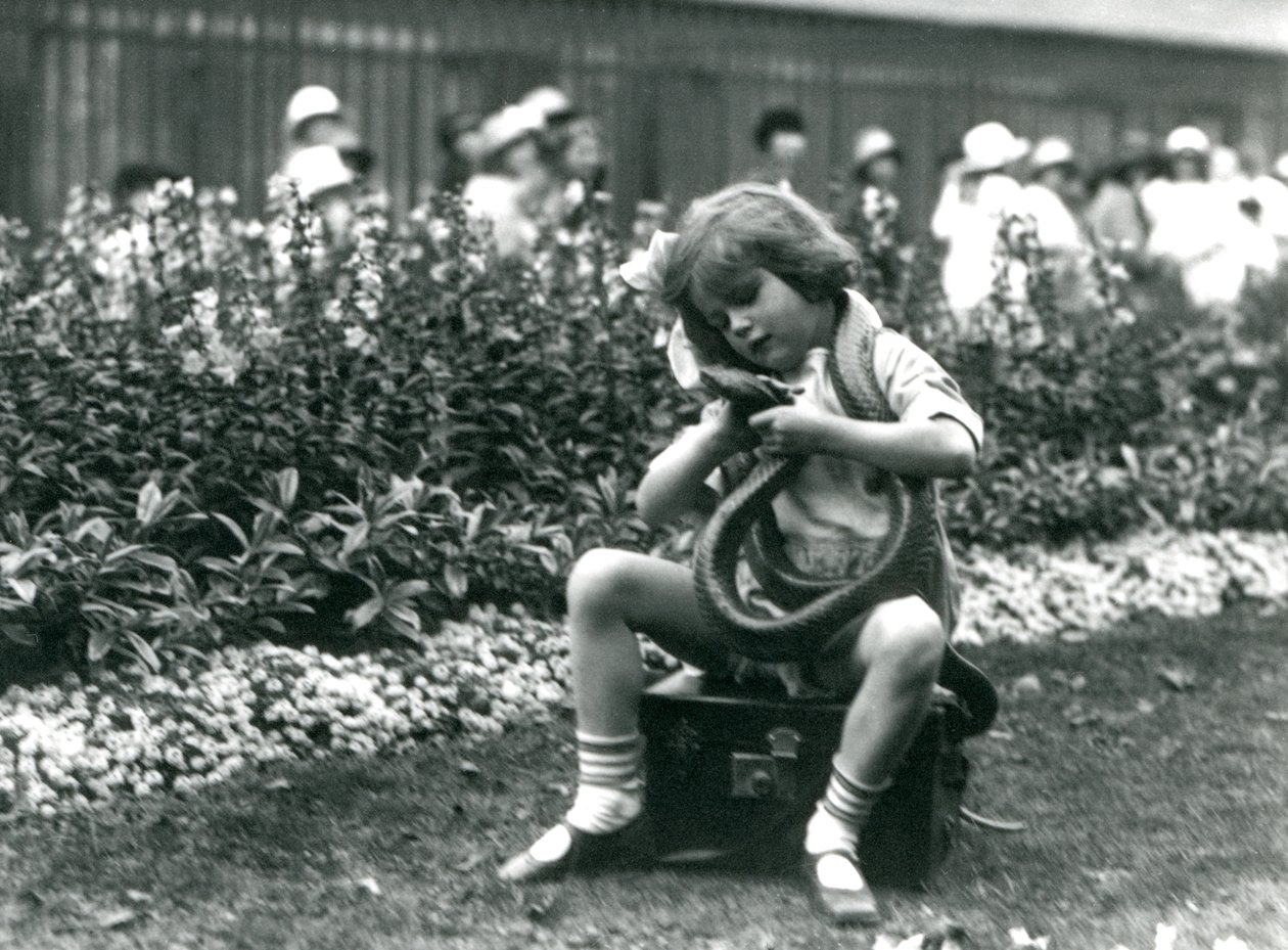 Ein junges Mädchen Betty hält eine östliche Indigo-Schlange, während sie auf einem Lederkoffer sitzt, London Zoo, 1924 von Frederick William Bond