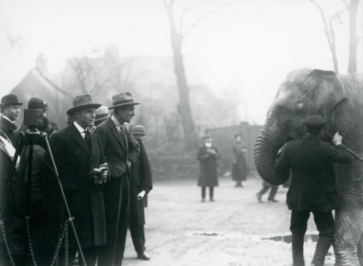 Ein indischer Elefant, möglicherweise Sundermalah, nimmt an einer Außenübertragung aus dem London Zoo teil, 1925 von Frederick William Bond