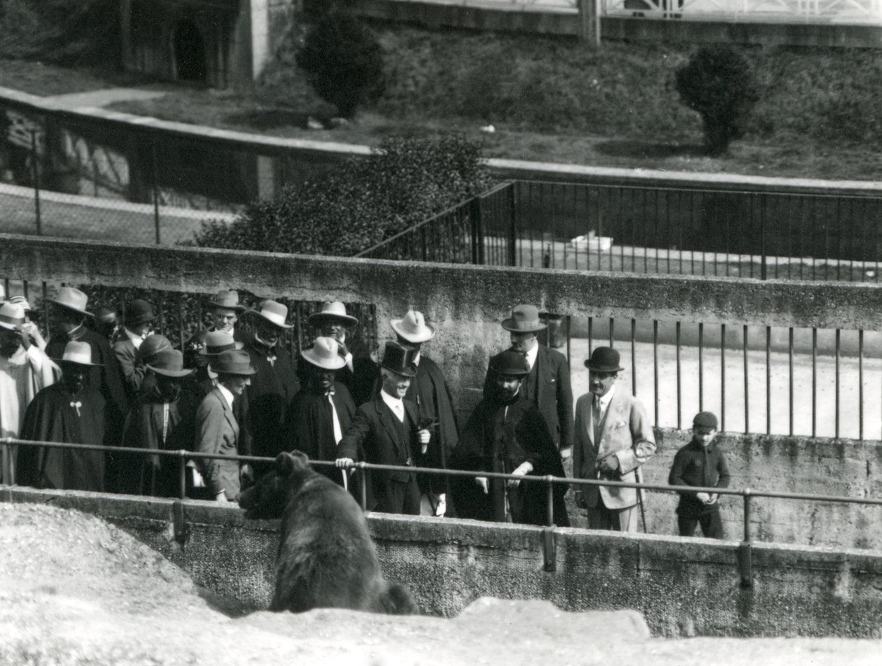 Sir Peter Chalmers Mitchell mit dem äthiopischen Regenten Haile Selassie und seinem Gefolge, die einen Braunbären auf den Mappin-Terrassen betrachten, Londoner Zoo, 1924 von Frederick William Bond
