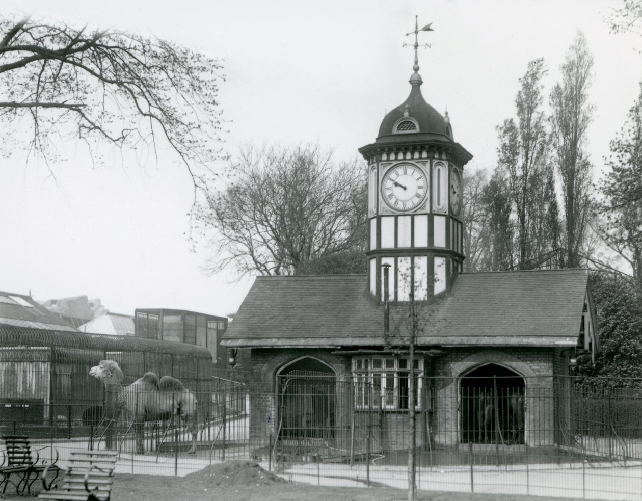 Das Kamelhaus, London Zoo von Frederick William Bond