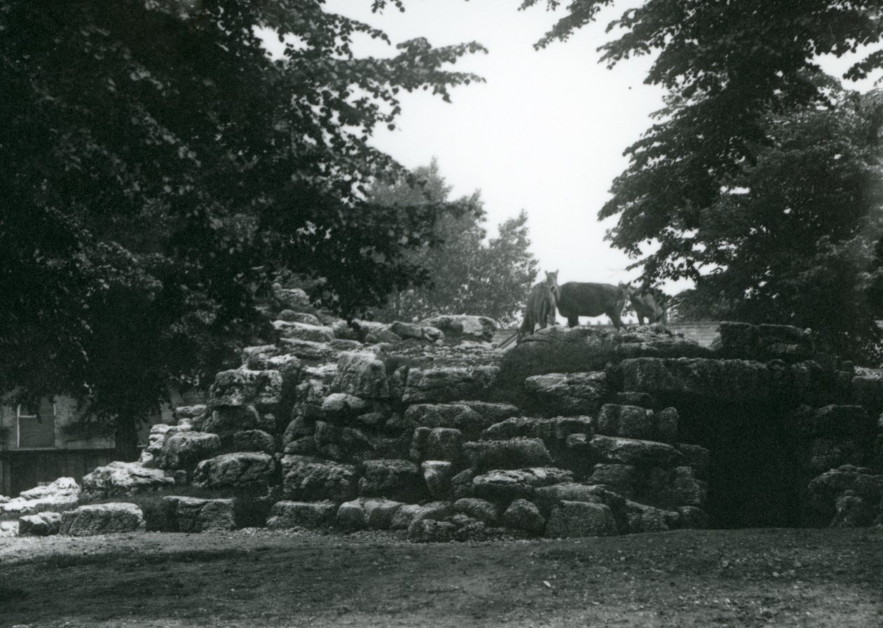 Das Eland-Antilopen-Gehege im Londoner Zoo im Juni 1924 von Frederick William Bond