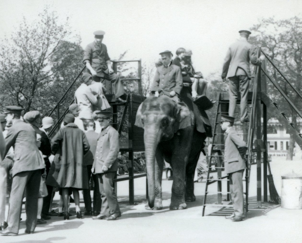 Besucher stehen für eine Elefantenfahrt an, während andere mit Hilfe von fünf Wärtern einsteigen, Londoner Zoo, 1927 von Frederick William Bond