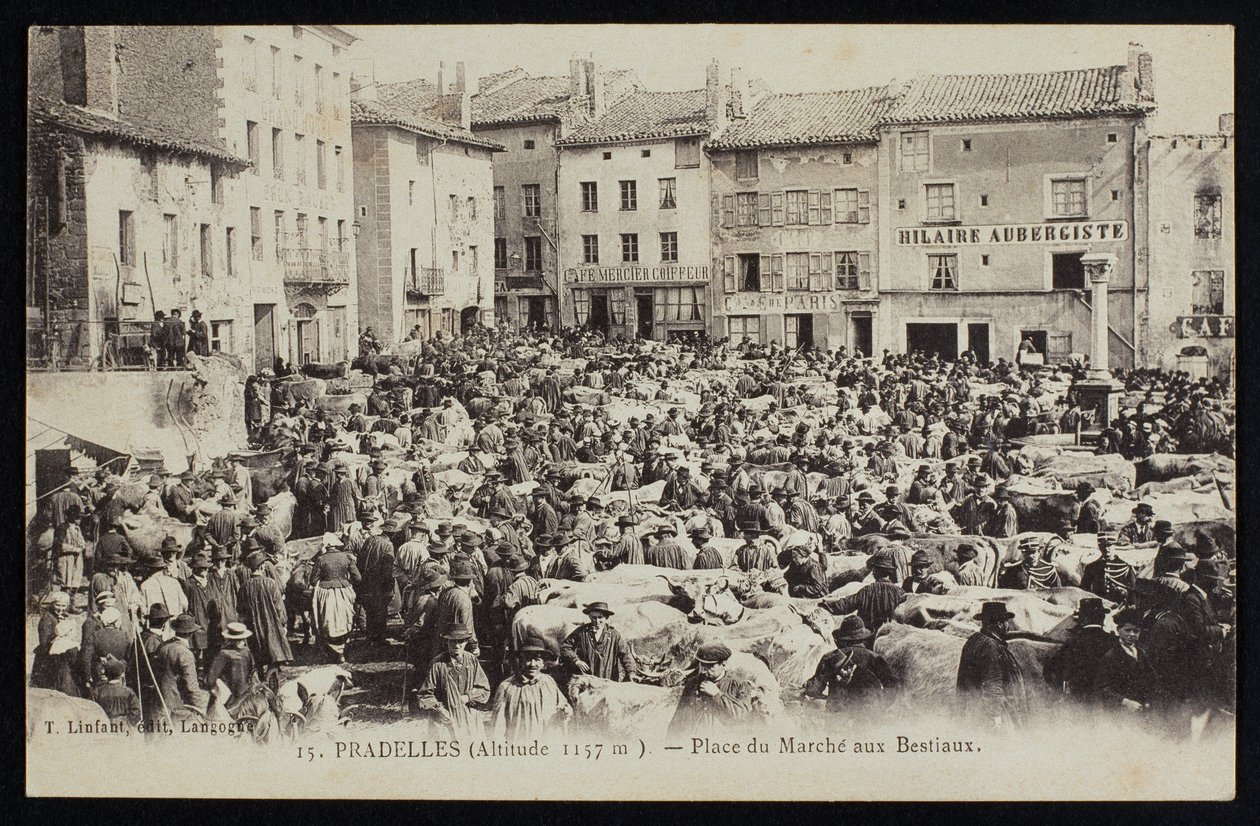 Postkarte, die den Viehmarkt in Pradelles, um 1900 darstellt von French Photographer