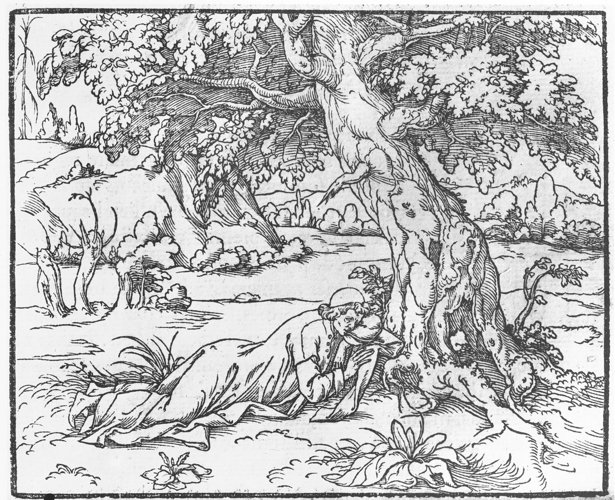Seite aus Discours du Songe de Poliphile, von Francesco Colonna, 1546 von French School