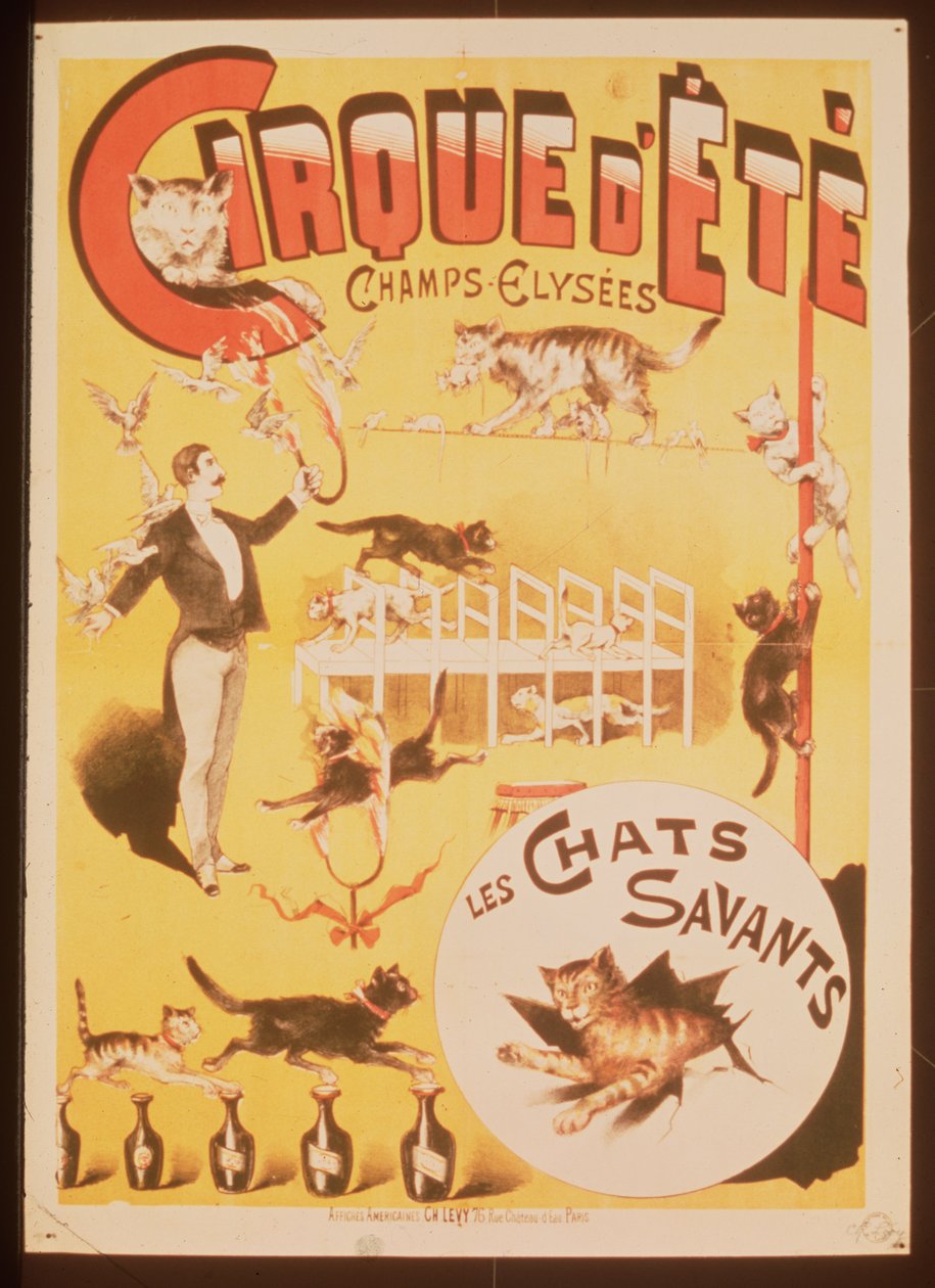 Plakat, das den Cirque d