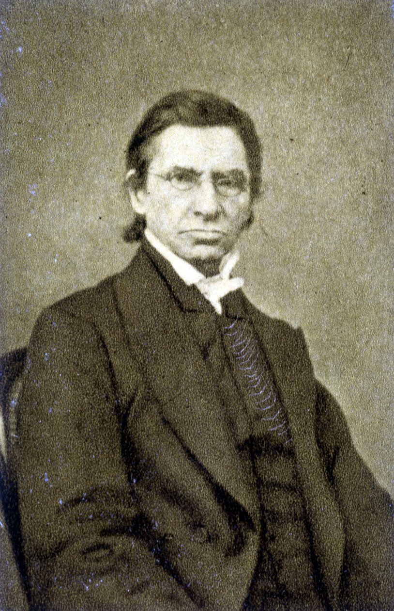 Porträt von Maximilian Emile Littré (1801 - 1881) im Jahr 1869 von French Photographer