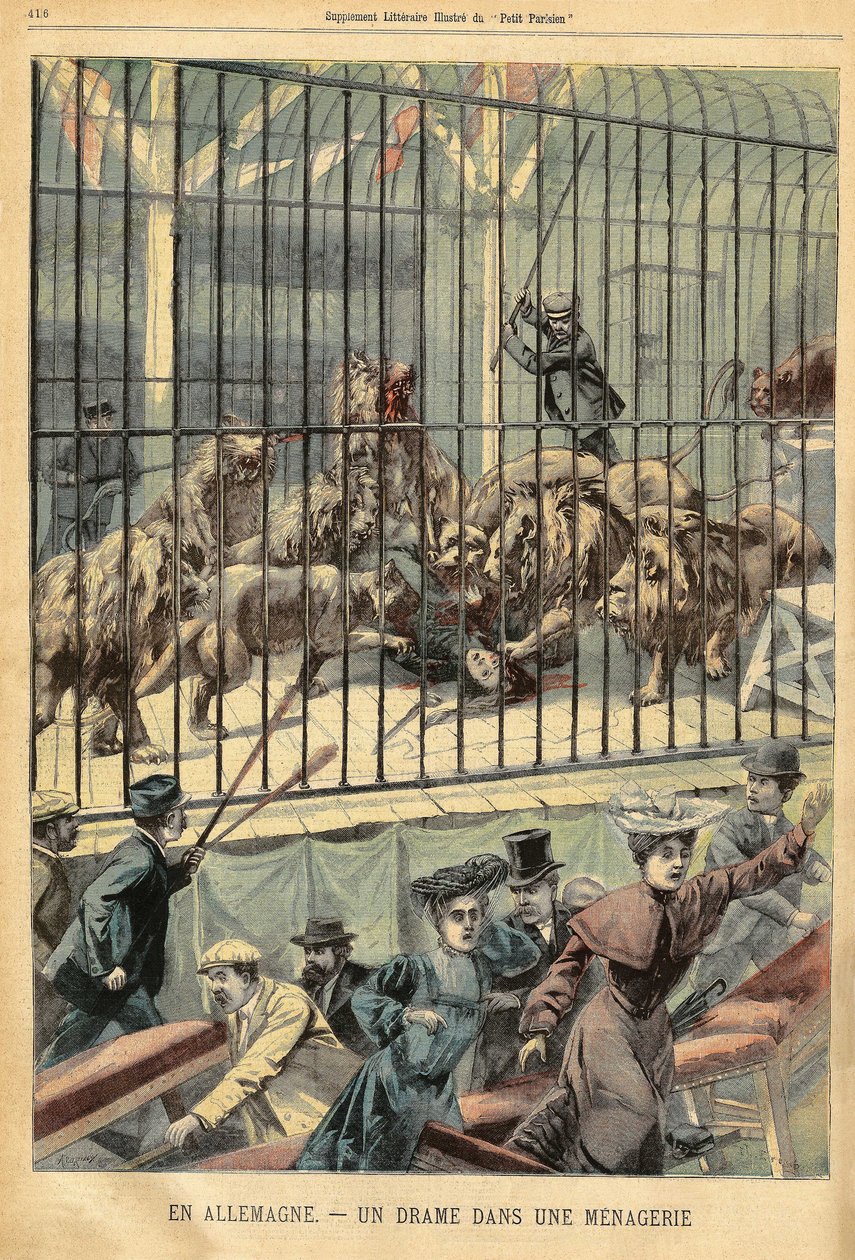 Eine Dompteurin wird in einer Menagerie in Dessau, Deutschland, von ihren Löwen gefressen. Gravur in „Le Petit Parisien“, am 27.12.1903. von French School