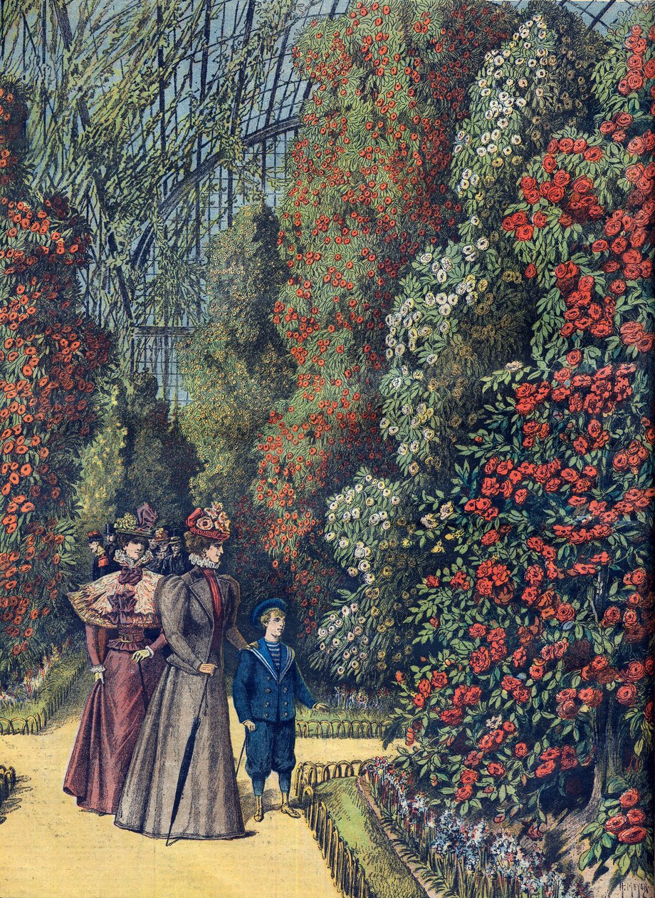 Akklimatisationsgarten - das Kamelienhaus - Kameliengewächshaus in einem botanischen Garten von French School