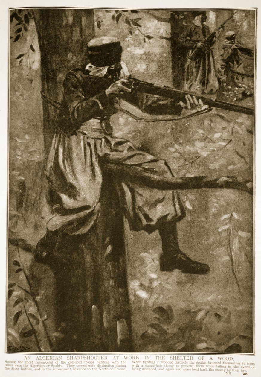 Ein algerischer Scharfschütze bei der Arbeit im Schutz eines Waldes, 1914-19 von French School