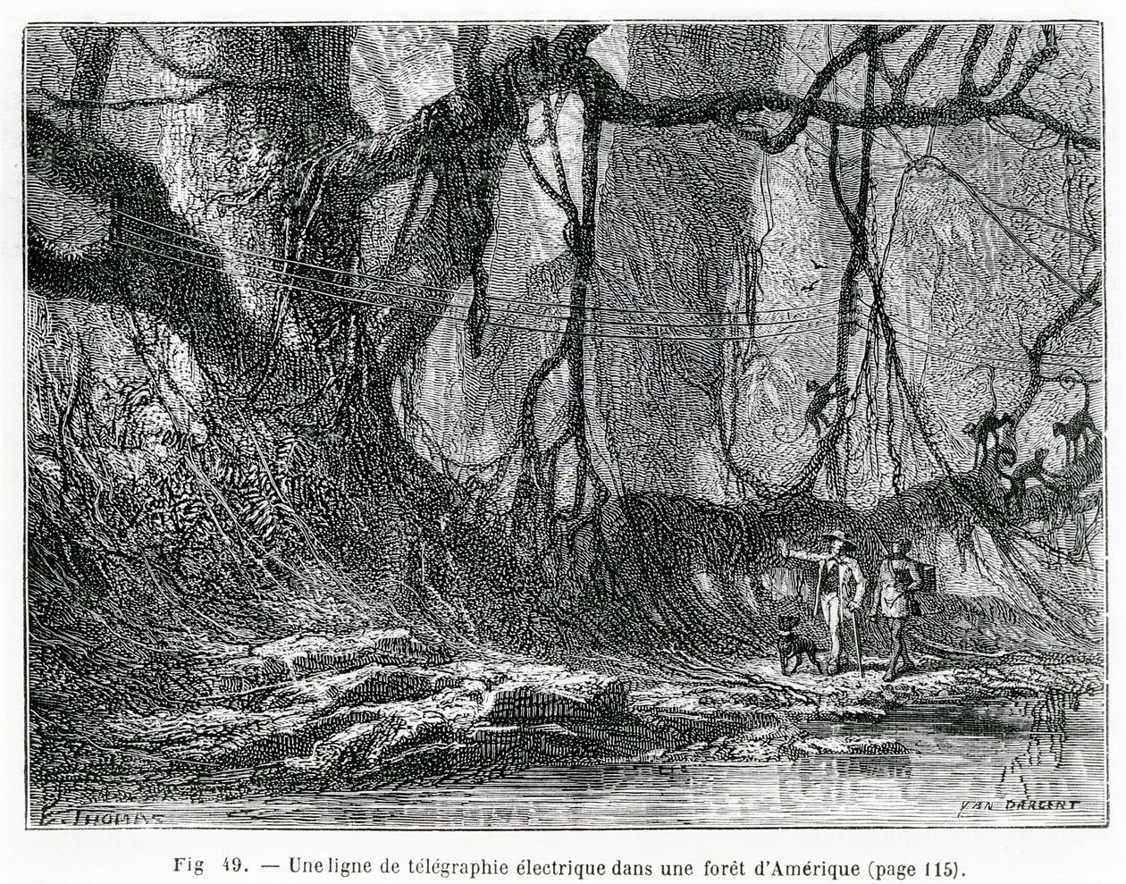 Eine elektrische Telegrafenleitung in einem amerikanischen Wald, ca. 1870 (Stich) von French School