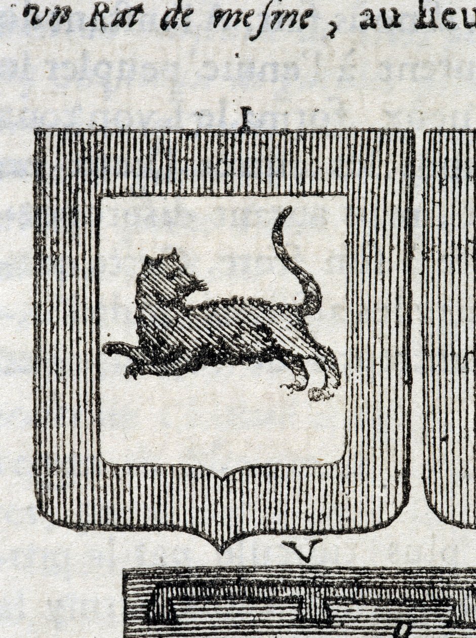 Wappen des italienischen Infanterieregiments in „Die wahre und vollkommene Wissenschaft der Waffen oder das Wappenindex“ von Pierre Palliot von French School