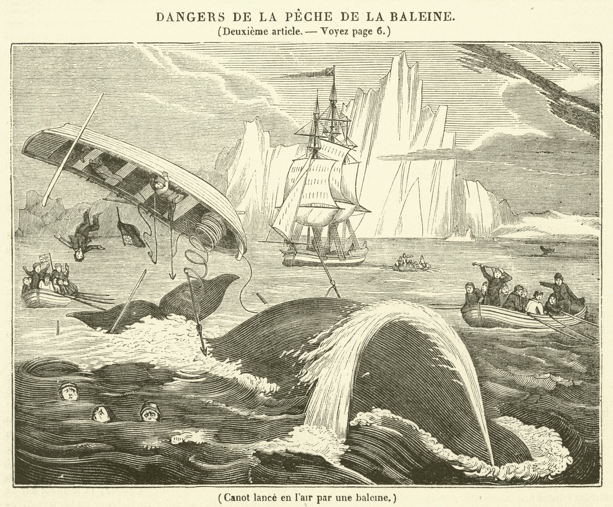 Boot in die Luft geschleudert von einem Wal (Gravur) von French School