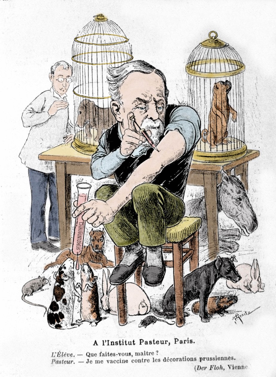 Karikatur des Wissenschaftlers Louis Pasteur, Erfinder des Impfstoffs gegen Tollwut, wie er sich selbst gegen preußische Auszeichnungen impft. Veröffentlicht in „Der Floh“ von French School