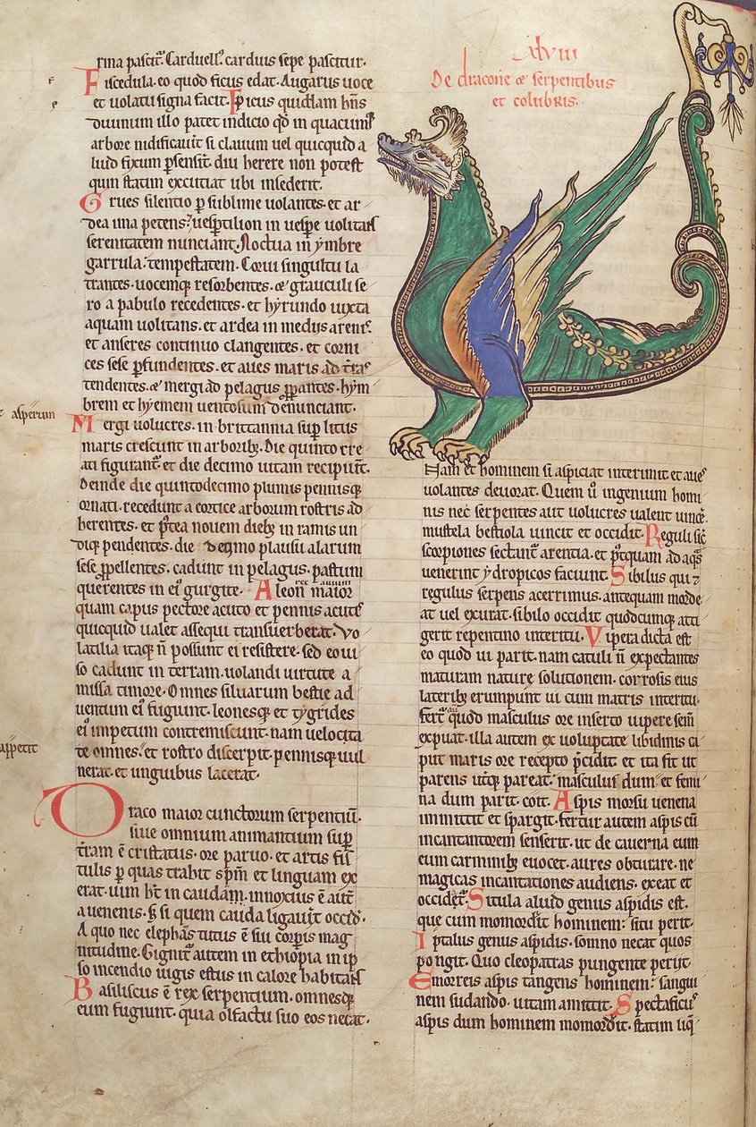 Text mit Illustration eines Drachen, aus Liber Floridus von Lambert de Saint-Omer, ca. 1120 von French School