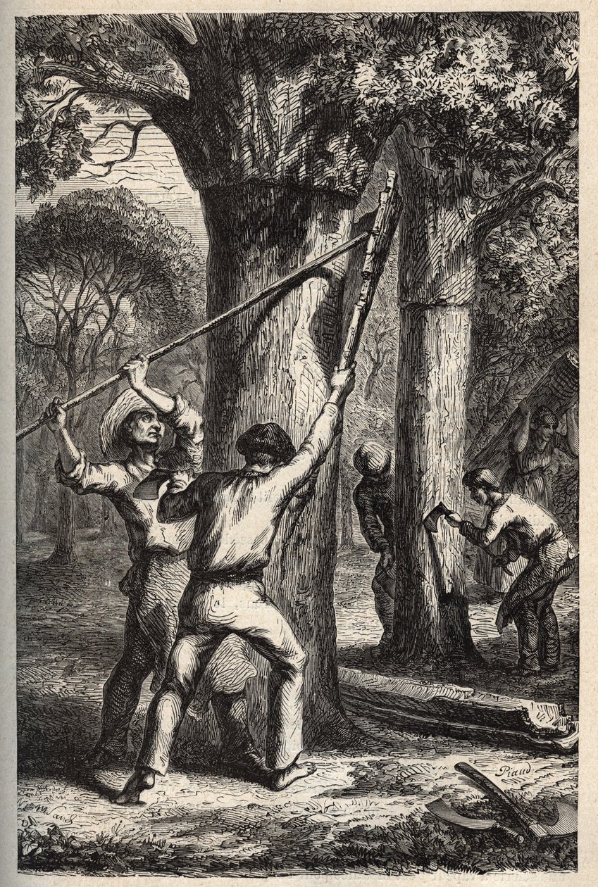 Korkernte auf Quercus suber - Ernte der Rinde der Korkeiche (chêne-liège) in den Landes - Gravur in „PATRIE - DESCRIPTION PICTURESQUE DE LA FRANCE IN 6 VOLUMES BY LUCIEN HUARD - Ende 19. Jahrhundert von French School