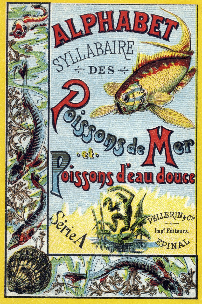 Umschlag von "Syllabary alphabet of marine and freshwater fish" von French School
