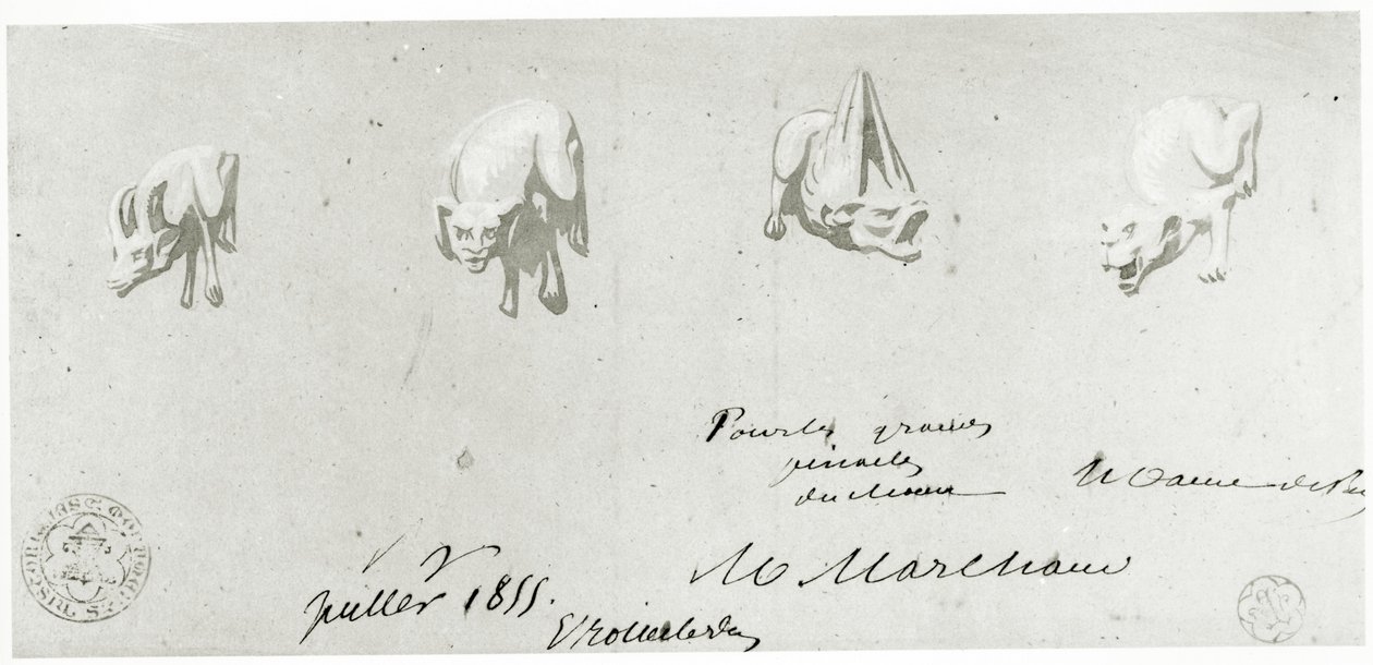 Zeichnung für die Restaurierung der Wasserspeier von Notre Dame, 1855 von French School