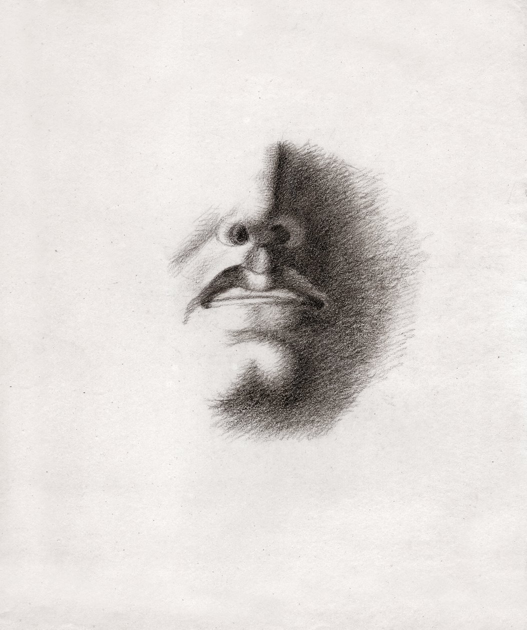 Gesicht eines Mannes (Zeichnung, ca. 1830) von French School