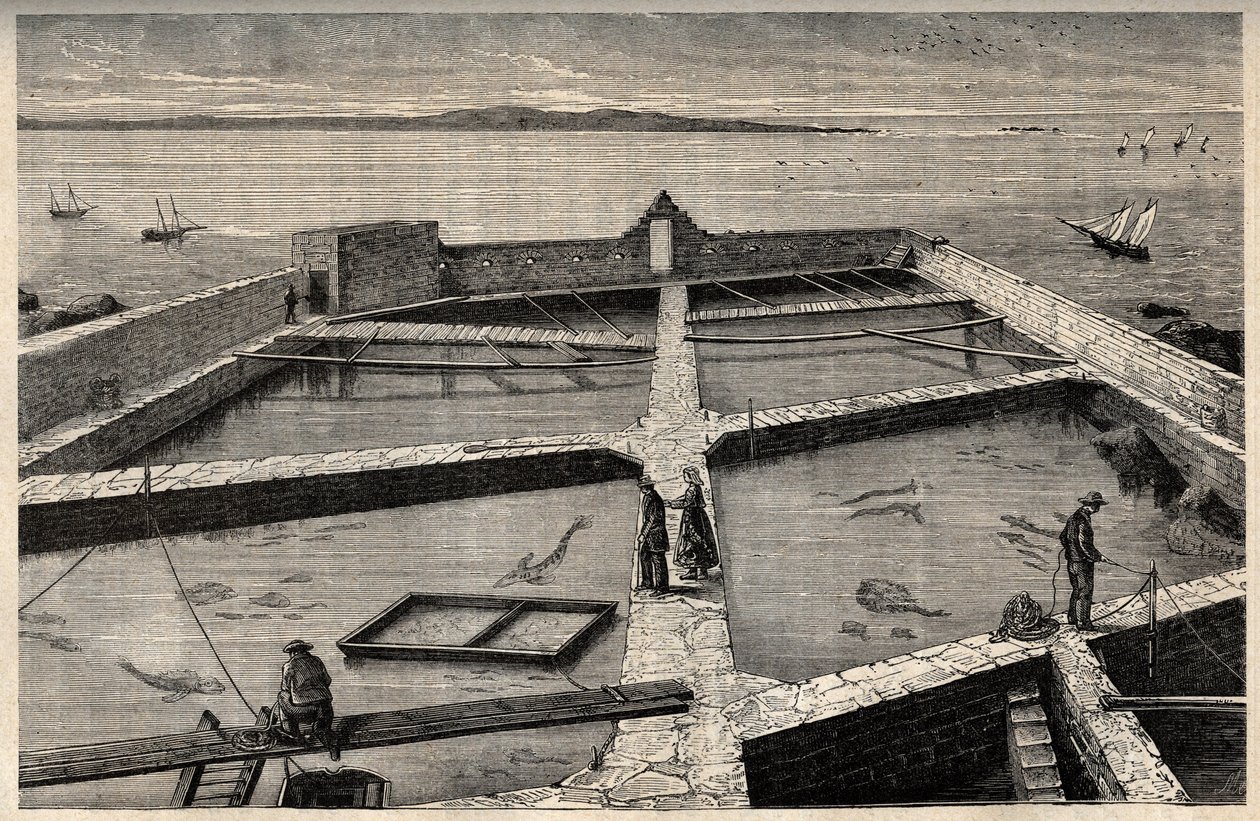 Fischzucht in Concarneau - Bretagne - Fischzuchtanlage - Concarneau - Finistère - Bretagne - Gravur in „PATRIE - DESCRIPTION PICTURESQUE DE LA FRANCE EN 6 VOLUMES“ von Lucien Huard - Ende des 19. Jahrhunderts von French School