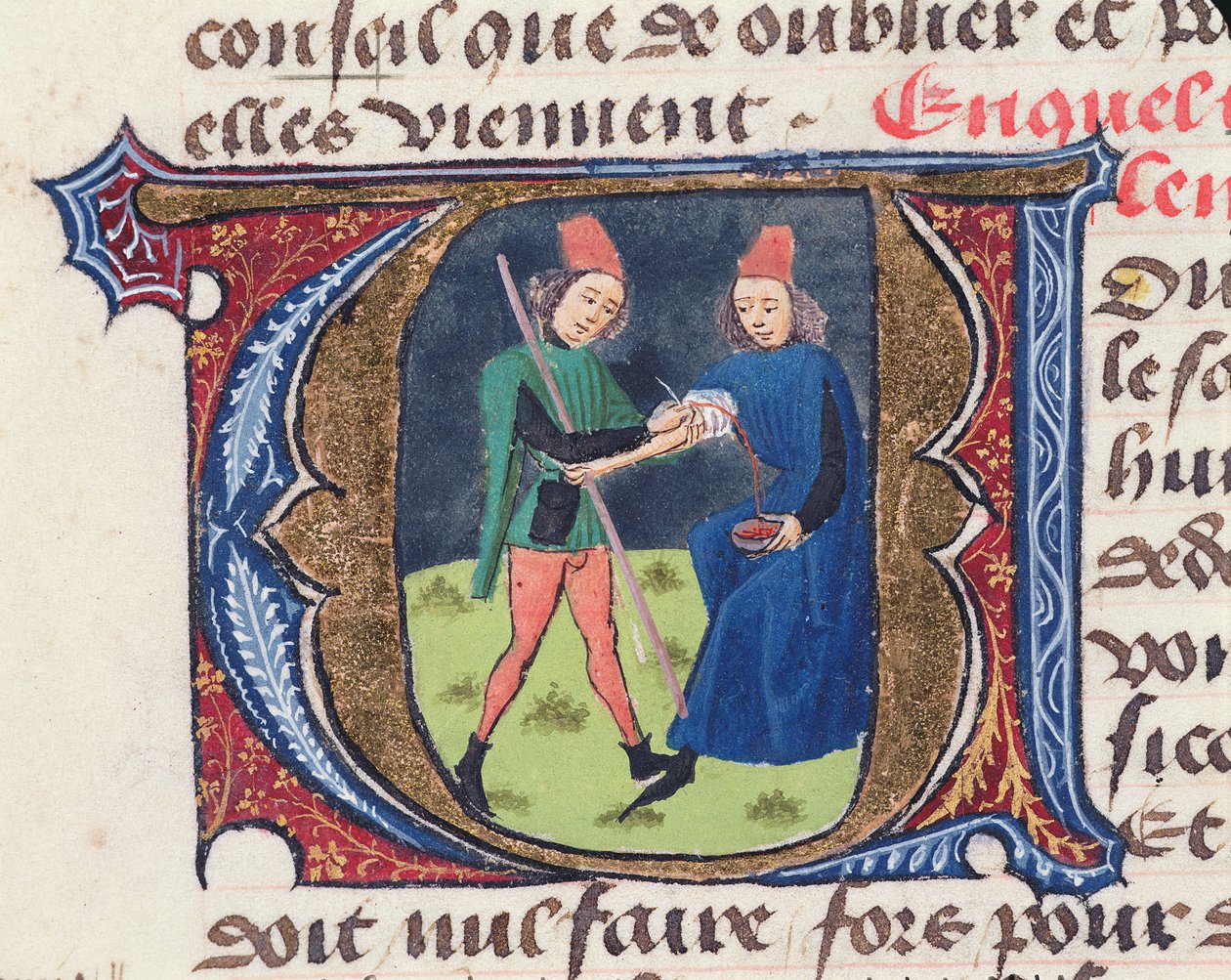 Fol.19r Aderlass, aus Traite de Medecine von Aldebrande de Florence, 1356 von French School