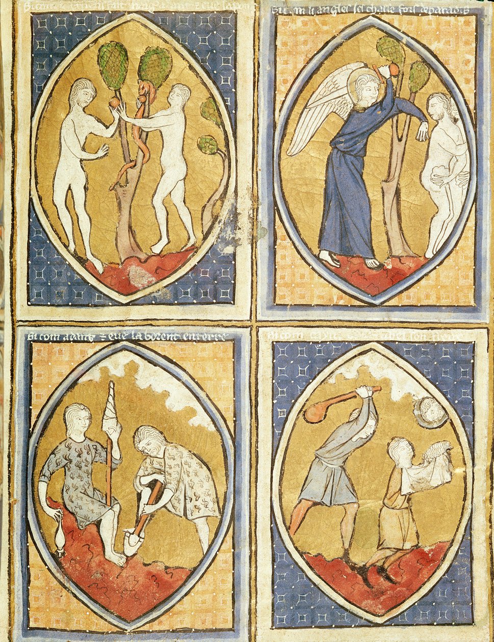 Die Geschichte von Adam und Eva, aus Image du Monde von French School