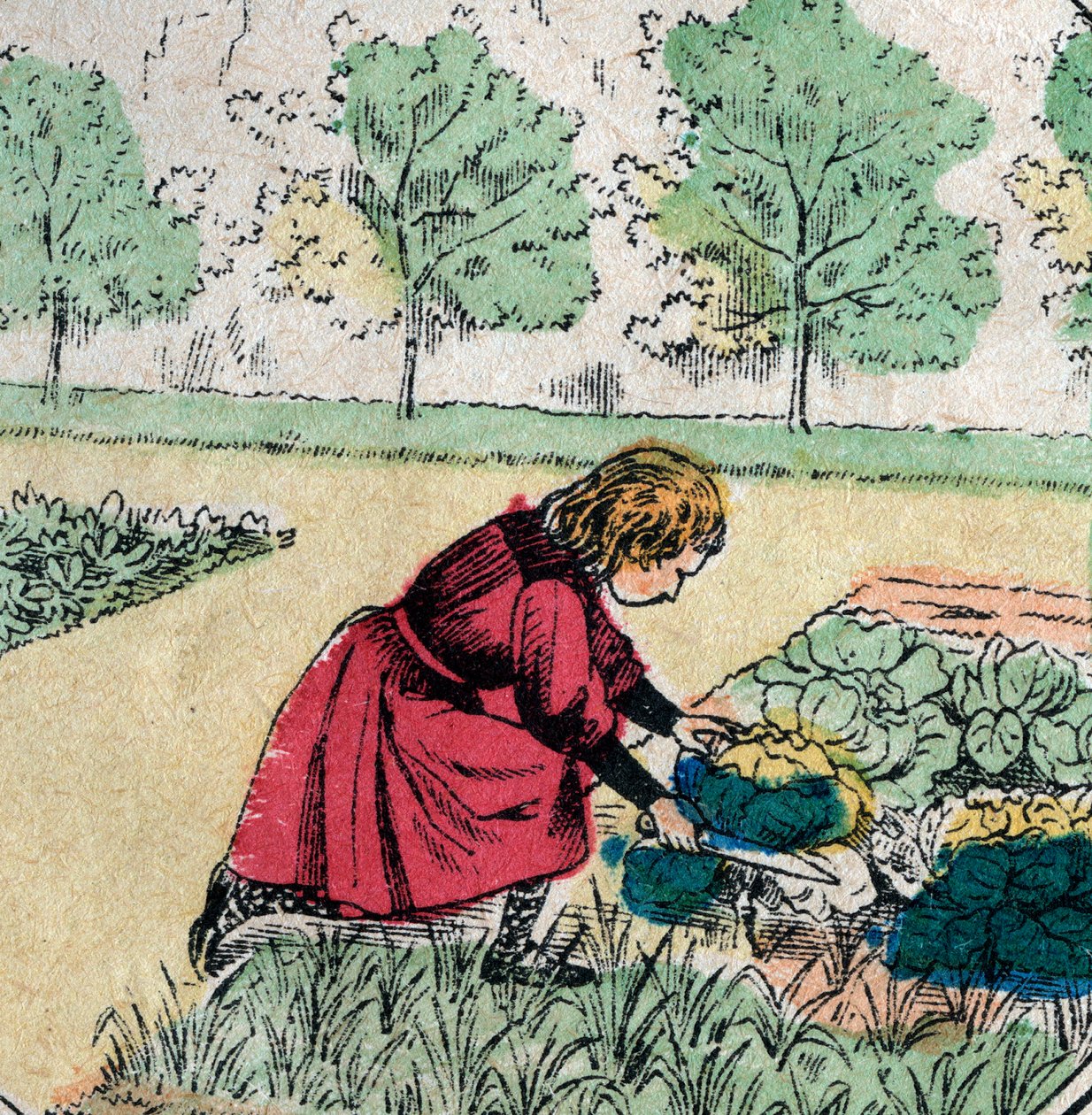 Französischer Glaube: Ein kleines Mädchen, das glaubt, dass Babys in Kohl oder Rosen geboren werden, schneidet die Sprossen eines Gemüsegartens ab - Epinal-Bild - 19. Jahrhundert (Gravur) von French School