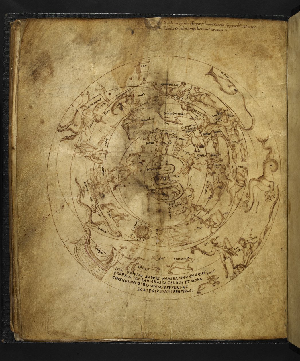 Diagramm der nördlichen und südlichen Hemisphären, aus 